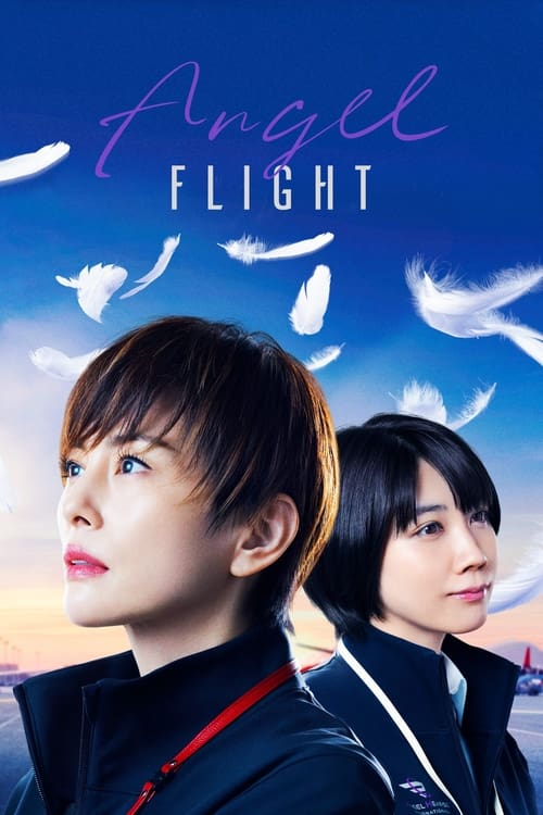 Angel Flight: Kokusai Reikyu Sokanshi