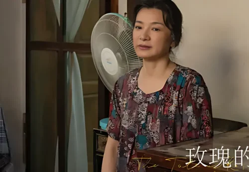 Understanding The Motives Behind Su Gengsheng’s Mother’s Visit To Beijing In The Tale Of Rose