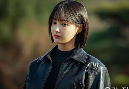 The Unexpected Benefits Of Lee Se Na’s Appearance In Bitter Sweet Hell