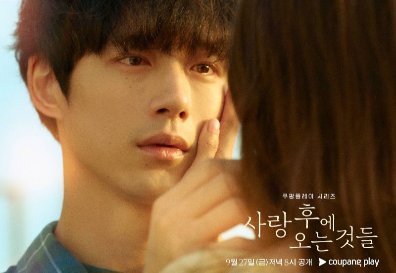 Synopsis of What Comes After Love, Drama Lee Se Young-Sakaguchi Kentaro